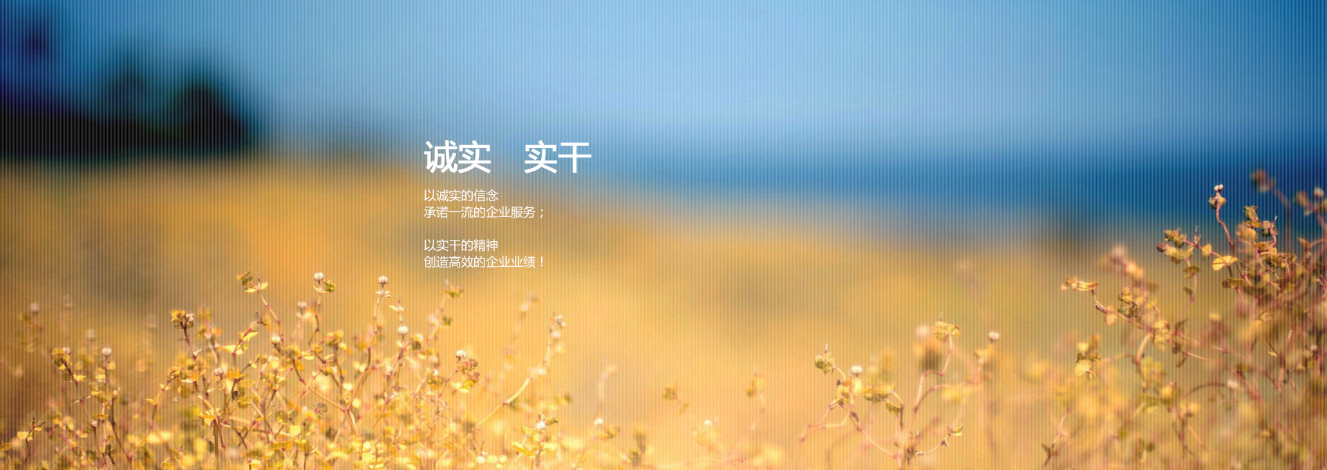混沌鸿蒙-实干